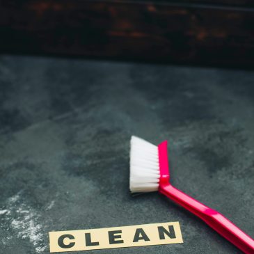 Year-Round Cabin Maintenance Made Simple