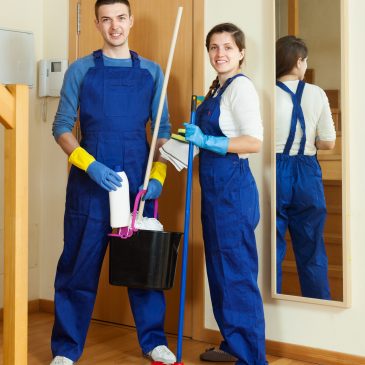 Full Cabin Care in Minnesota’s Lakes Region