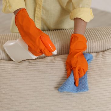 The Minnesota Cabin Care Calendar: A Year-Round Guide