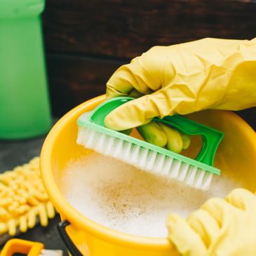 Services Offered by Cabin Care MN for Cabin Owners